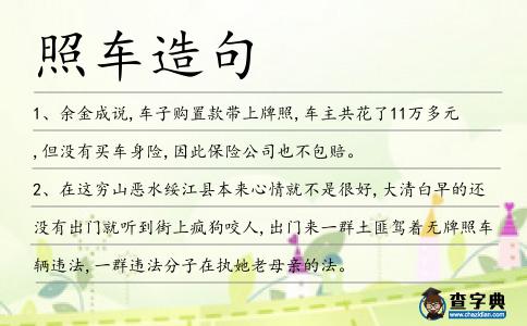 照車造句