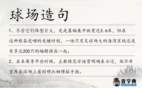 球場造句