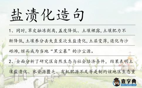 鹽漬化造句