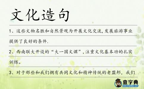 文化造句