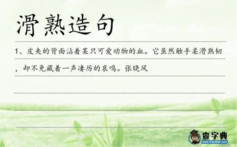 滑熟造句