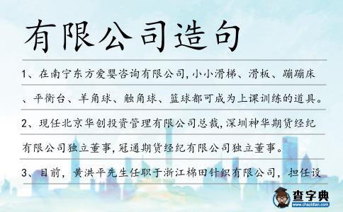 有限公司造句