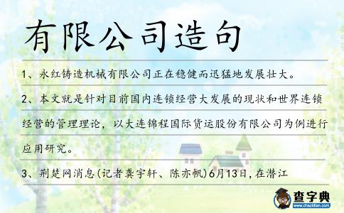 有限公司造句