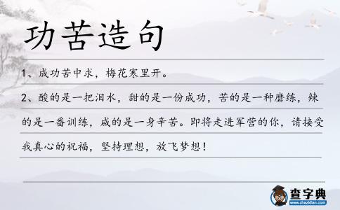 功苦造句