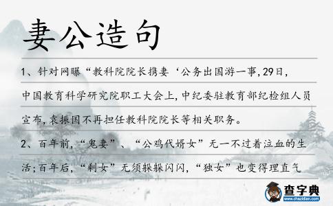 妻公造句