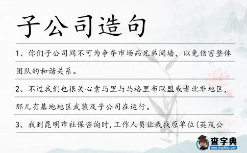 子公司造句