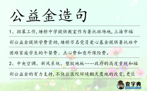 公益金造句
