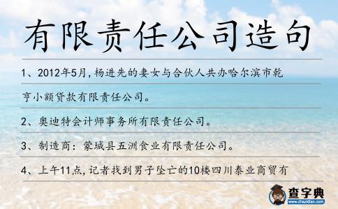 有限責任公司造句