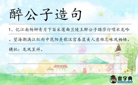 醉公子造句