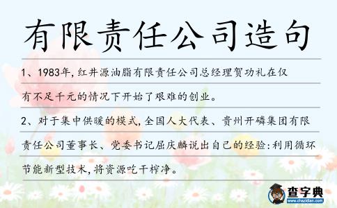 有限責任公司造句