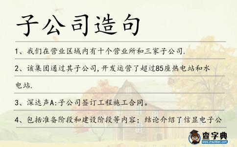 子公司造句