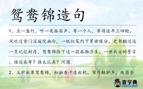 鴛鴦錦造句