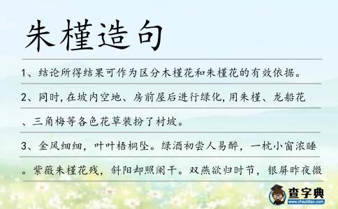 朱槿造句