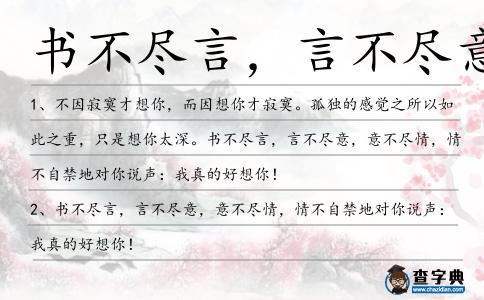 書不盡言,言不盡意造句