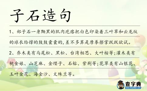 子石造句