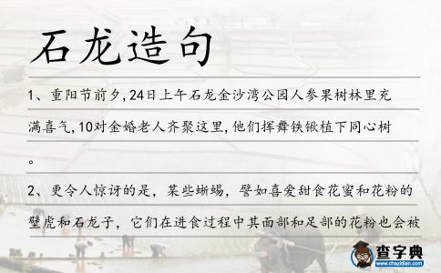 石龍造句