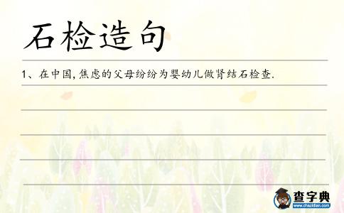 石檢造句