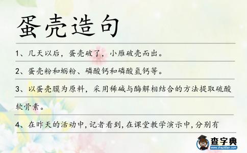 蛋殼造句