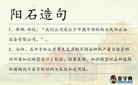 陽石造句