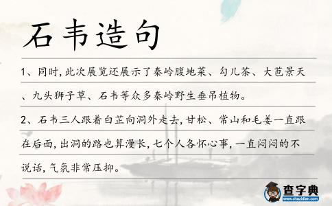 石韋造句
