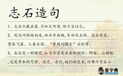 志石造句