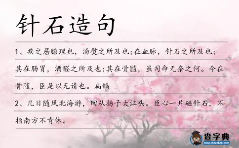 針石造句
