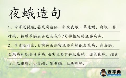 夜蛾造句