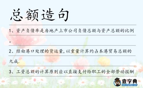 總額造句