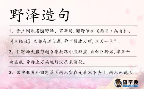 野澤造句