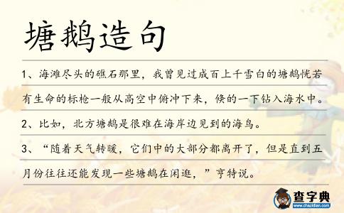 塘鵝造句