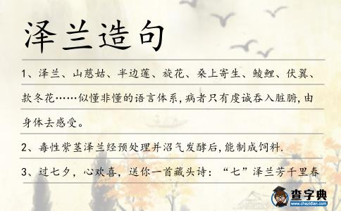 澤蘭造句