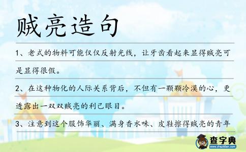 賊亮造句