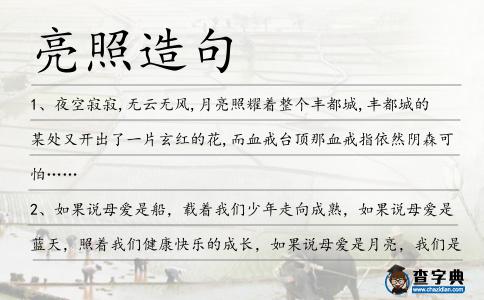 亮照造句