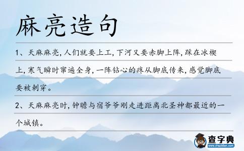 麻亮造句