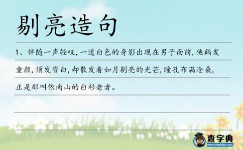 剔亮造句