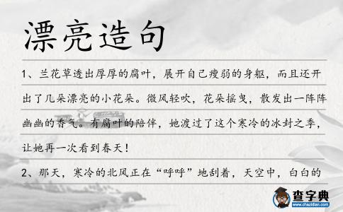 漂亮造句