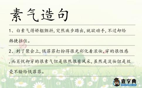 素氣造句