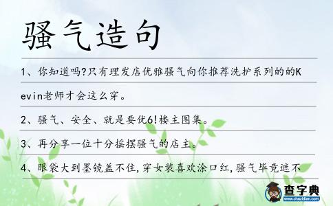 騷氣造句