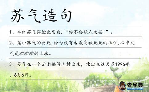 蘇氣造句