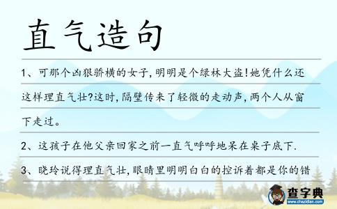 直氣造句