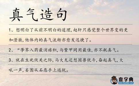 真氣造句