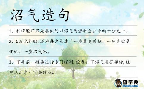 沼氣造句