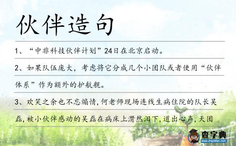 伙伴造句
