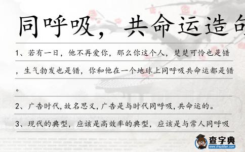 同呼吸,共命運造句