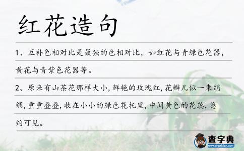 紅花造句