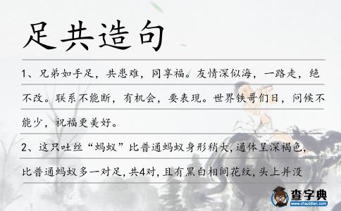 足共造句