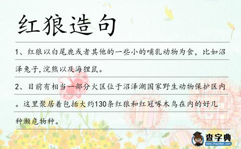 紅狼造句