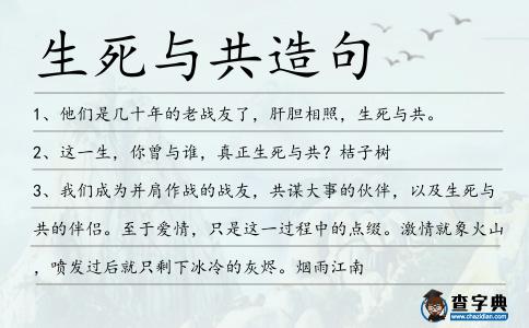 生死與共造句
