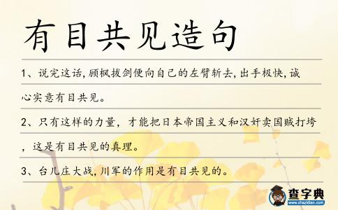 有目共見造句