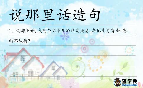 說那里話造句